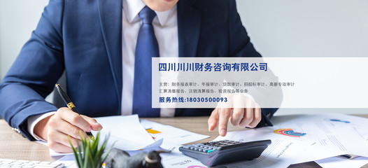 成功案例 財(cái)務(wù)咨詢?nèi)绾沃ζ髽I(yè)實(shí)現(xiàn)逆勢(shì)增長(zhǎng)